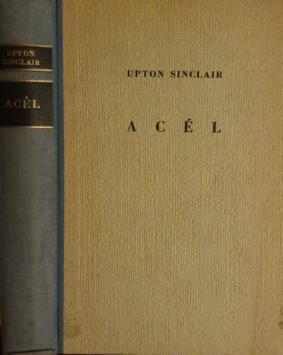 Upton Sinclair - A cél