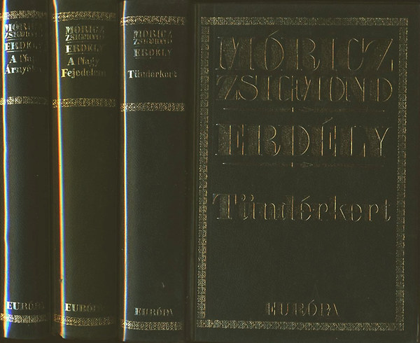 M�ricz Zsigmond - Erd�ly. T�nd�rkert - A nagy fejedelem - A nap �rny�ka