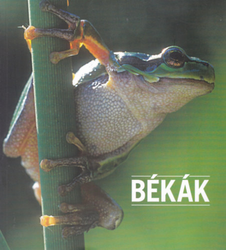 Kovcs Tibor - Bkk