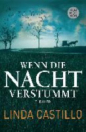 Linda Castillo - Wenn die Nacht verstumm