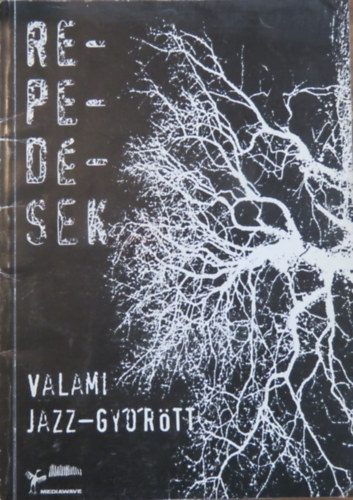 Mllner Dra  (szerk.) Bakts Tibor Settenked (szerk.) - Repedsek: Valami jazz - Gyrtt / Something jazz in Gyr