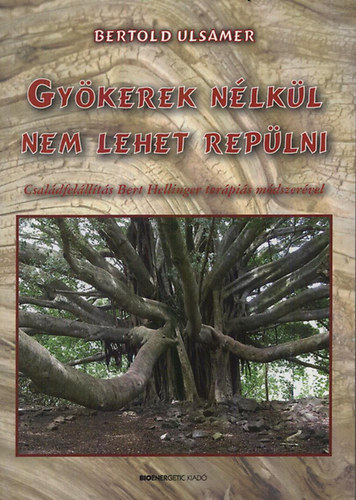 Bertold Ulsamer - Gykerek nlkl nem lehet replni