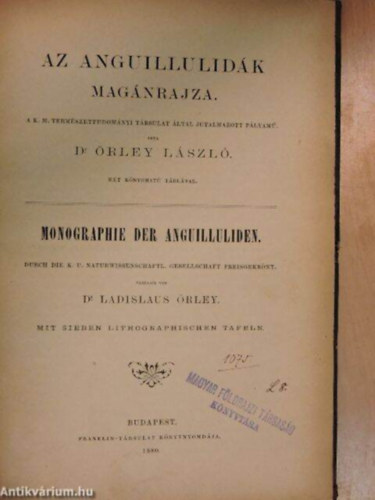 Dr. rley Lszl - Az anguillulidk magnrajza