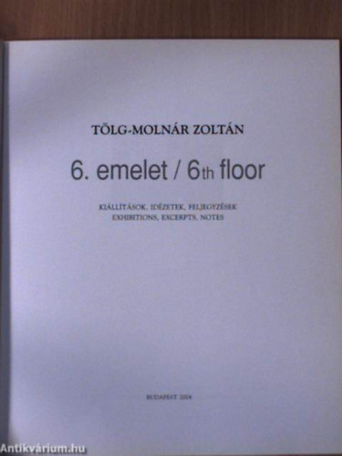 G�bor �ron - G�bor �ron - sz�n-t�zis - synthesis