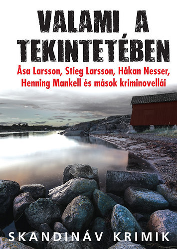 John-Henri Holmberg  (szerk.) - Valami a tekintetben (Skandinv krimik)