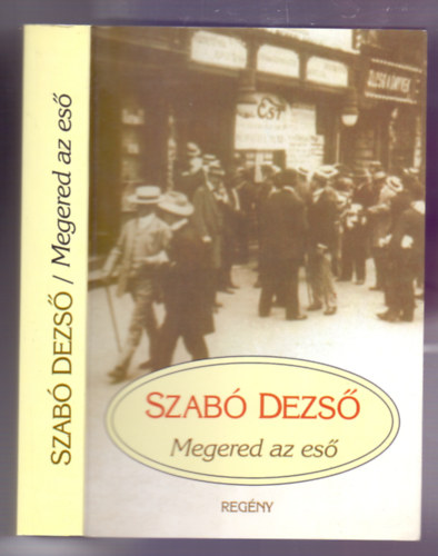 Szabó Dezső - Megered az eső (regény)