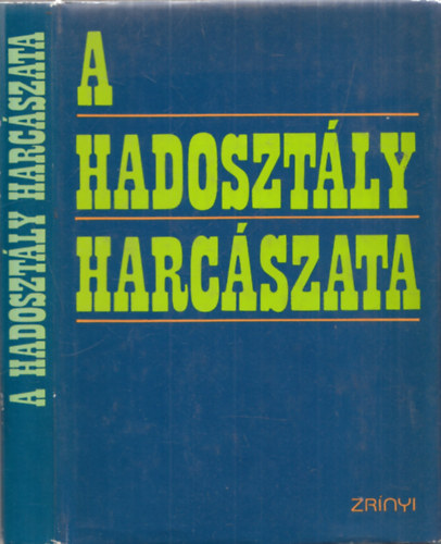 A.I.Radzijevszkij - A hadosztly harcszata