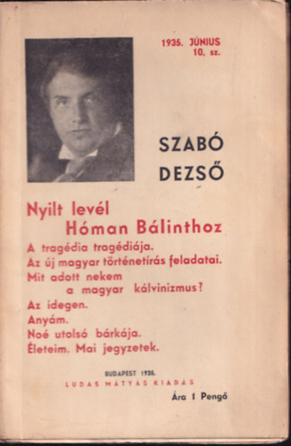 Szab Dezs - Nylt levl Hman Blinthoz (Ludas Mtys fzetek 10.)