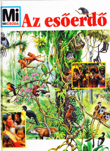Andrea Mertiny - Az eserd - Mi micsoda?