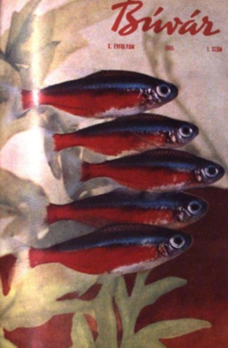 Dr. L�nyi Gy�rgy  (f�szerk.) - B�v�r - X. �vfolyam 1-6. sz�m, 1965 (teljes �vfolyam, egybek�tve)