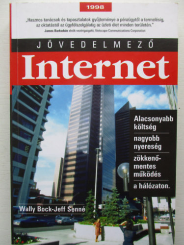 Wally Bock-Jeff Senn - Jvedelmez Internet