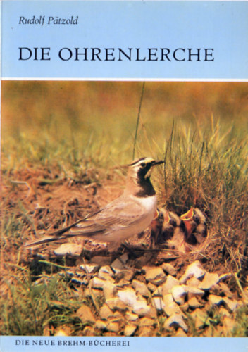 Rudolf Pätzold - Die Ohrenlerche (Eremophila alprestis)