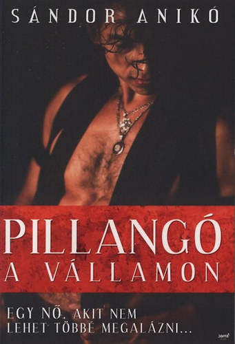 Sndor Anik - Pillang a vllamon - Egy n, akit nem lehet tbb megalzni...