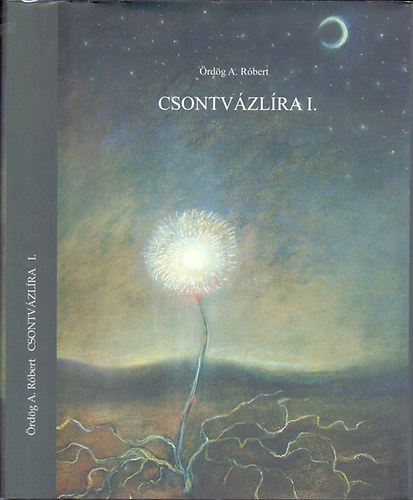 Ördög A. Róbert - Csontvázlíra