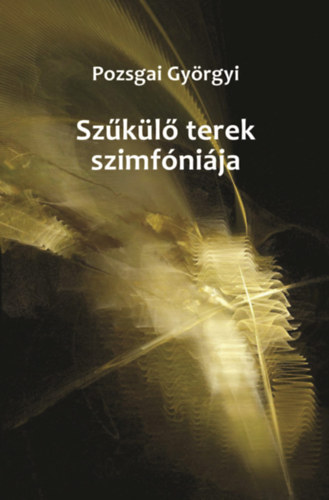 Pozsgai Györgyi - Szűkülő terek szimfóniája
