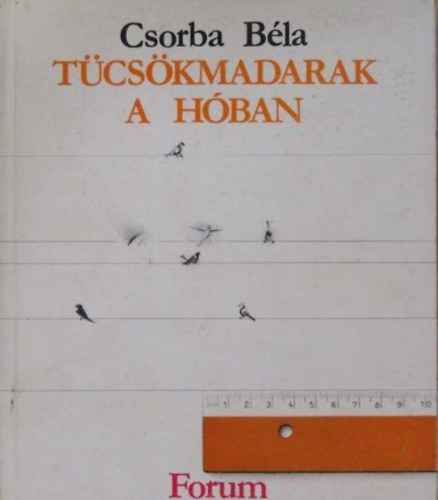 Csorba Bla - Tcskmadarak a hban