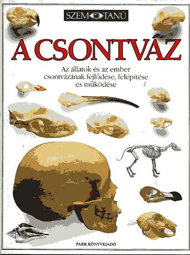 Steve Parker - A csontvz: Az llatok s az ember csontvznak fejldse, felptse s mkdse (Szemtan sorozat)