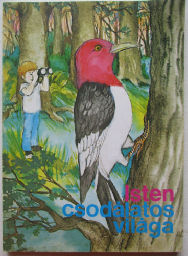 Bob Devine - Isten csodlatos vilga