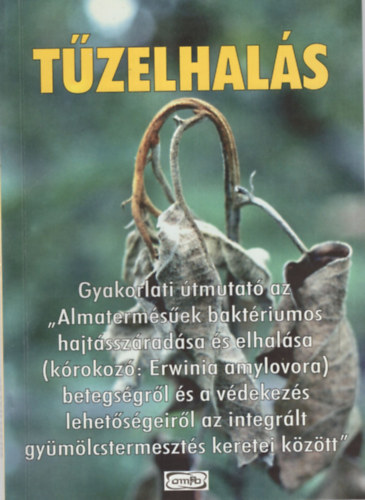 Dr. Dr. Németh József, Sallai Pál Bubán Tamás - Tűzelhalás