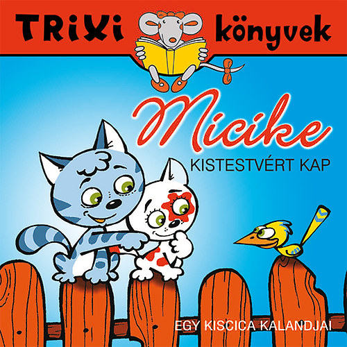 Lvay Erzsbet - Micike kistestvrt kap