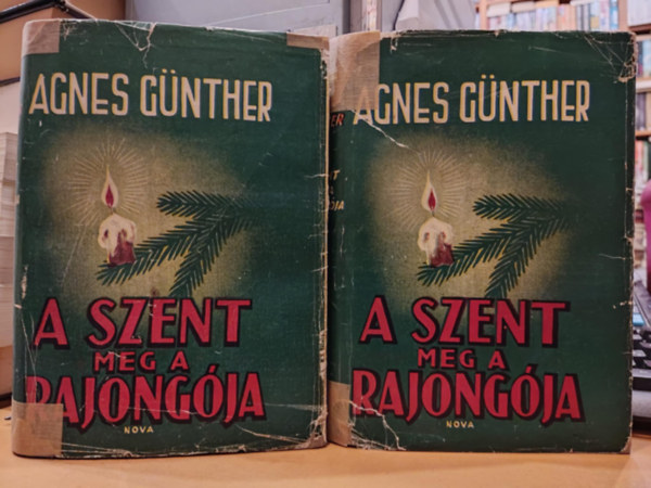 Agnes Gnther - A szent meg a rajongja I-II.