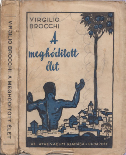 Virgilio Brocchi - A meghditott let