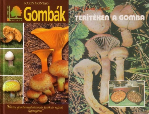 Dr. Karin Montag Lévai Judit - 2 db könyv gombászoknak: Gombák - Pontos gombameghatározás fotók és rajzok segítségével + Terítéken a gomba