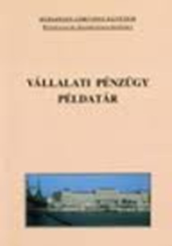 Fazakas Gergely - Vllalati pnzgy pldatr