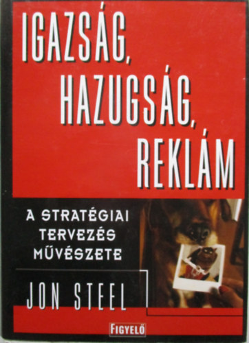 Jon Steel - Igazs�g, hazugs�g, rekl�m (a strat�giai tervez�s m�v�szete)