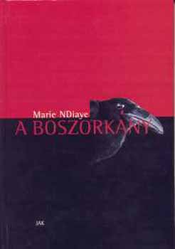 Marie NDiaye - A boszorkány