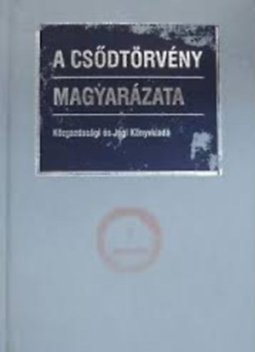 Cske Andrea  (szerk.) - A csdtrvny magyarzata