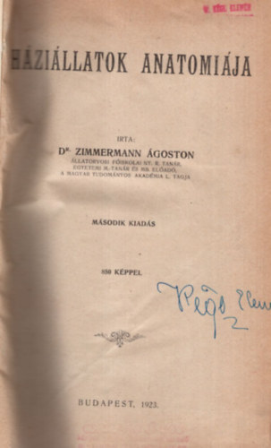 Dr. Zimmermann goston - Hzillatok anatmija