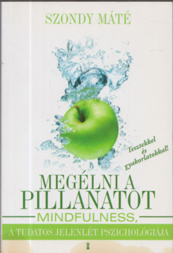 Szondy M�t� - Meg�lni a pillanatot - Mindfullness, a tudatos jelenl�t pszichol�gi�ja