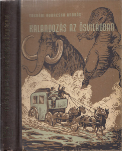 Tasndi Kubacska Andrs - Kalandozs az svilgban