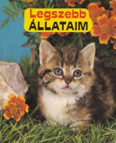 Legszebb �llataim