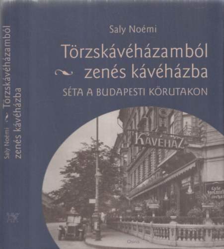 Saly Nomi - Trzskvhzambl zens kvhzba