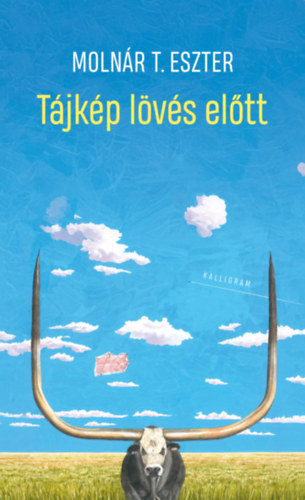 Moln�r T. Eszter - T�jk�p l�v�s el�tt