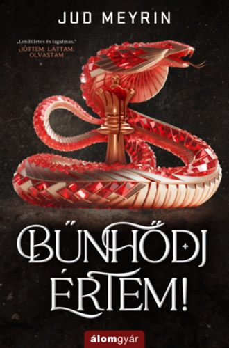 Jud Meyrin - Bűnhődj értem!