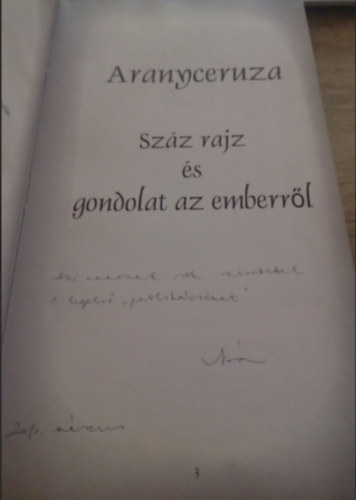 Aranyceruza: Sz�z rajz �s gondolat az emberr�l