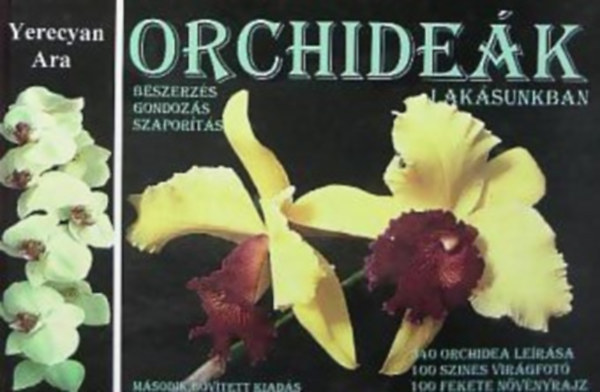 Yerecyan Ara - Orchidek laksunkban