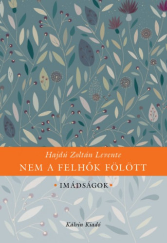 Hajd� Zolt�n Levente - Nem a felh�k f�l�tt
