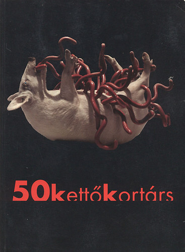 Wittek Zsolt  (szerkesztette s monogrfit rta) - 50kett kortrs