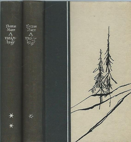 Thomas Mann - A varzshegy I-II.