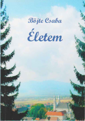 Bjte Csaba - letem (Az irgalmassg tjain)