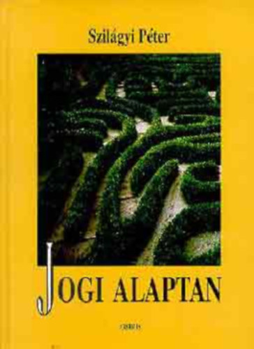 Szilgyi Pter - Jogi alaptan