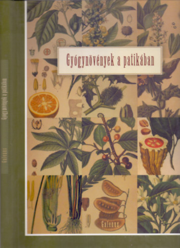 Dr. Szakmai lektor: Prof. Dr. K�ry �gnes Szarvash�zi Judit  (szerk.) - Gy�gyn�v�nyek a patik�ban