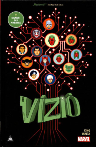 Gabriel Hernandez Walta  Tom King (rajz), Michael Walsh (rajz) - A Vzi (kpregny)