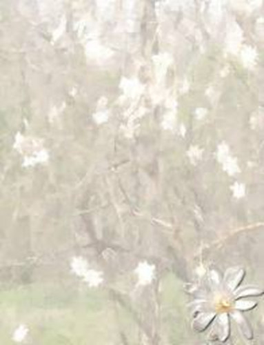 Gedényi Mihály - Tibeti kankalin - Papírkosár, börtönjegyzetek, gyerekkor