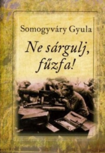 Vit�z Somogyv�ry Gyula - Ne s�rgulj, f�zfa!