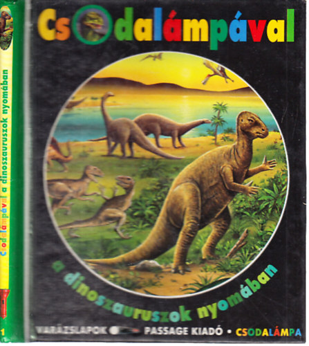 Claude Delafosse - Csodalmpval a dinoszauruszok nyomban